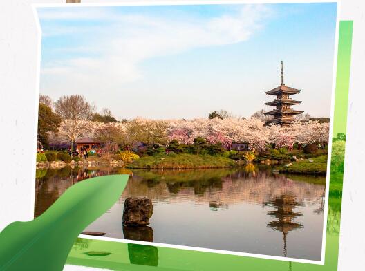 武漢如意餛飩：1人開3店！日銷售1W+！說的都是TA